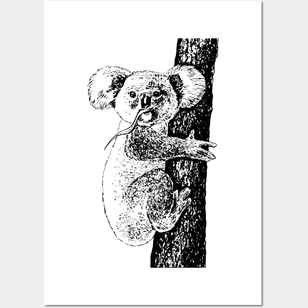 Koala ink drawing Wall Art by katerinamk